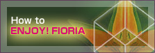How to ENJOY�I FIORIA