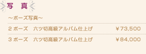 ʐ^